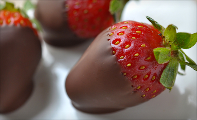 Image of Stay 1 Night at the Wyndham Garden Niagara Falls Fallsview