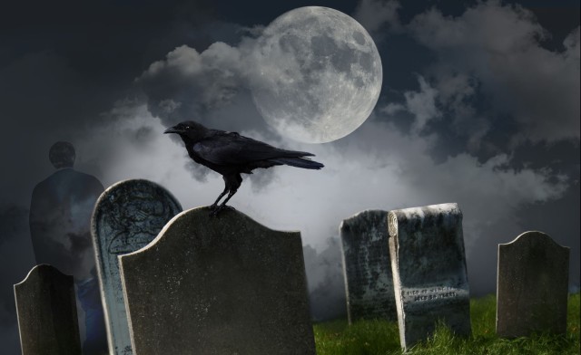 Image of Up to 60% off Escape Adventures in Mississauga