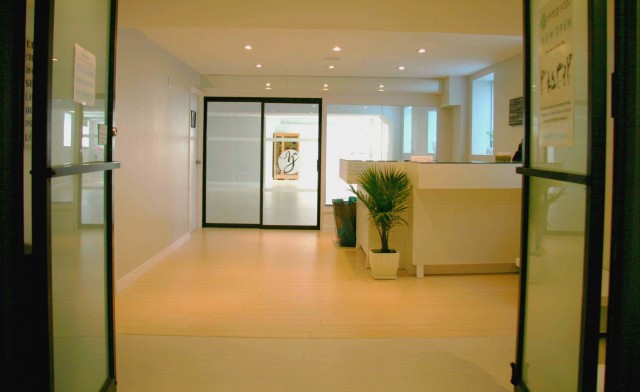 Image of $30 for One Month of Unlimited Yoga Classes in Scarborough (an $80 Value)