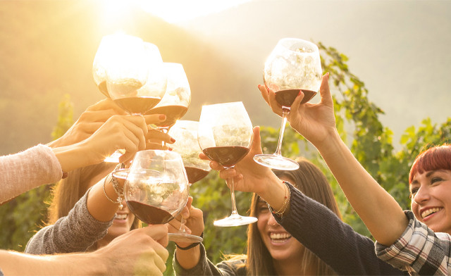 Image of Niagara Fun Tours