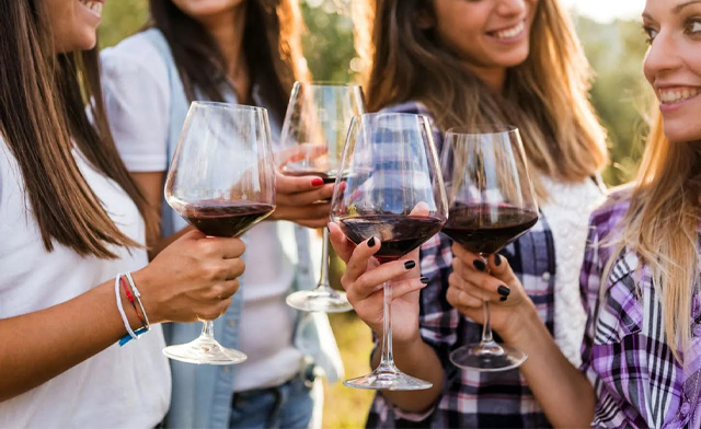 Image of Niagara Fun Tours