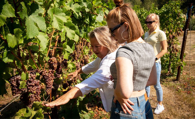 Image of Niagara Fun Tours