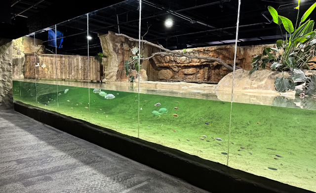 Image of Reptilia Inc.