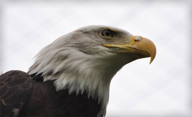 Image of Twin Valley Zoo