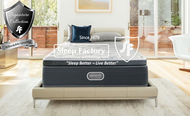 Image of The Sleep Factory