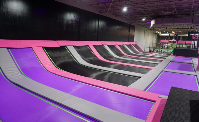 Image of Flying Squirrel Sports