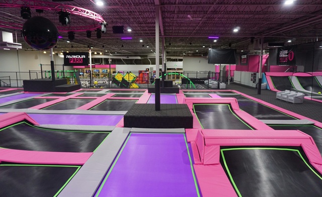 Image of Flying Squirrel Sports