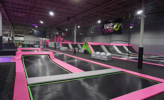 Image of Flying Squirrel Sports