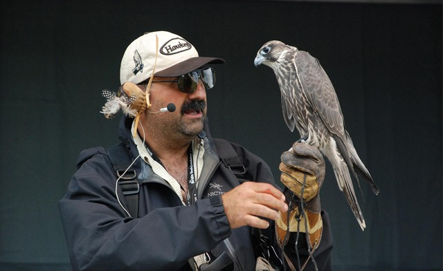 Image of Hawkeye Bird & Animal Control Inc.