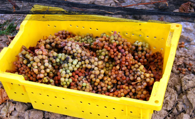 Image of Joseph's Estate Wines