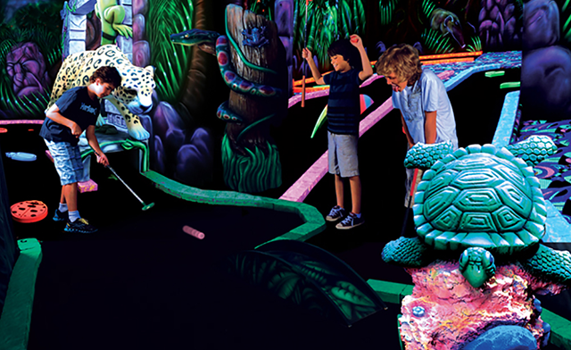 Image of Niagara Falls Fun Zone - Fallsview