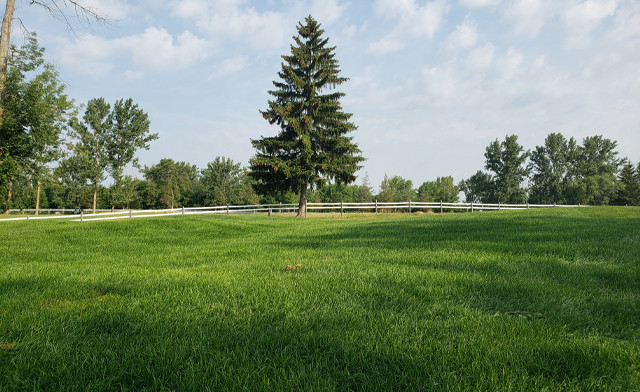 Image of Port Dover Golf Club