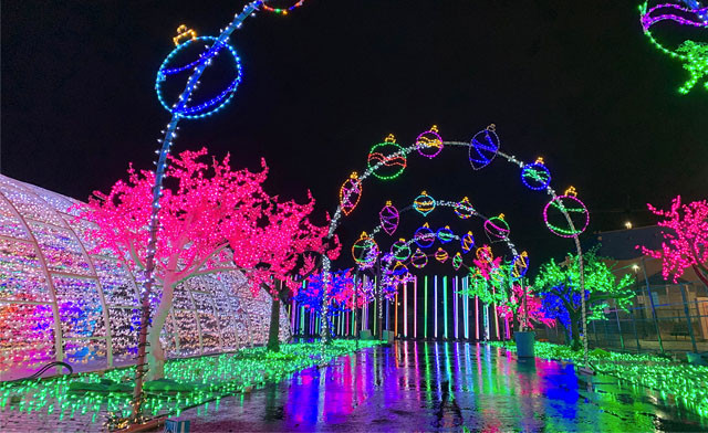 Image of Nights of Lights