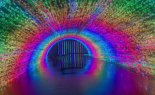 Image of Nights of Lights