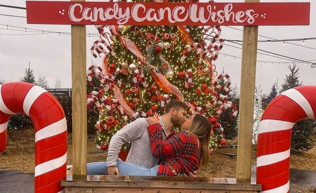 Image of Nights of Lights