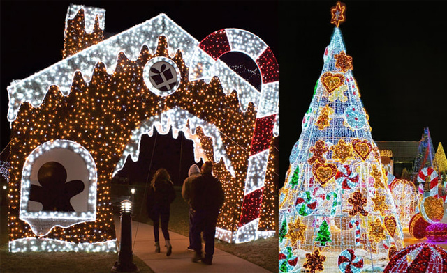 Image of Nights of Lights