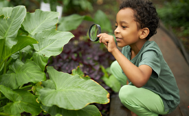 Image of Puddicombe Farms