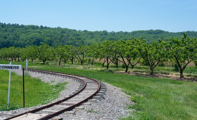 Image of Puddicombe Farms