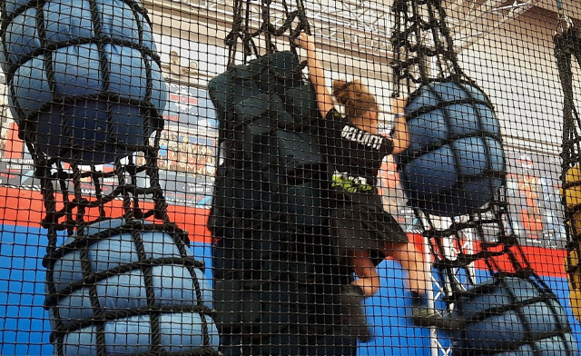 Image of The Warrior Factory Hamilton