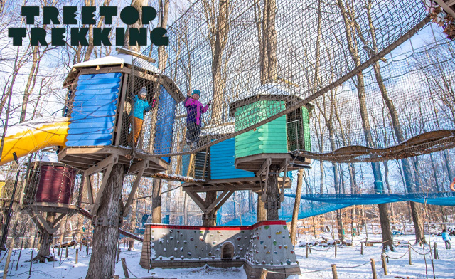 Image of Treetop Trekking