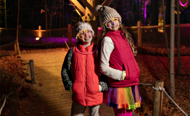 Image of Treetop Trekking