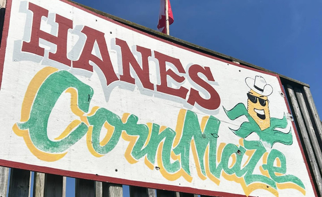 Image of Hanes Corn Maze