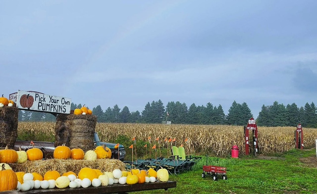 Image of Hanes Corn Maze
